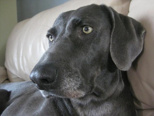 Fiona close up